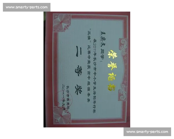 三独比赛获奖的意义及对个人发展的多重影响分析